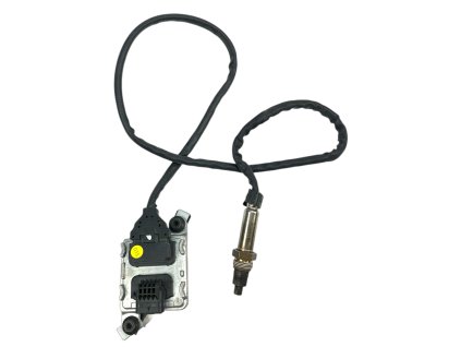 Photoroom 20241211 143720