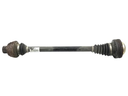 Photoroom 20241216 160041