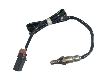 Photoroom 20250113 090815