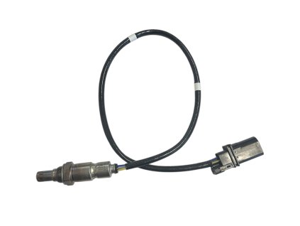 Photoroom 20250113 091453