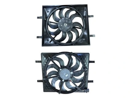 Photoroom 20250205 112132