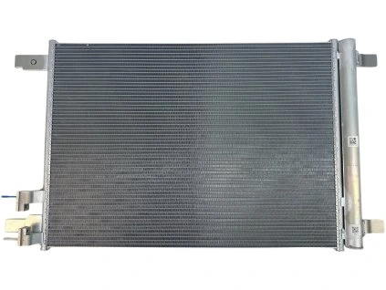 Photoroom 20250408 150400