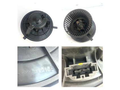 PHOTO 2021 09 10 12 34 50