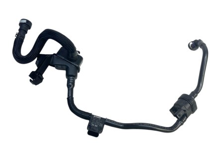 Photoroom 20250806 153705