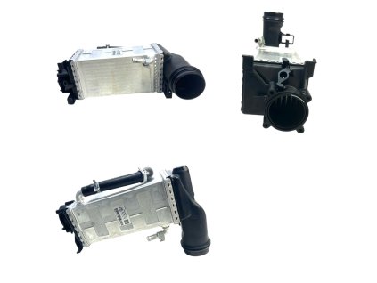 Photoroom 20250806 155344