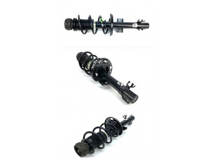 61091 1s0413031c gas liquid front shock absorber citigo up
