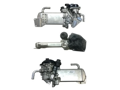 Photoroom 20251002 102602