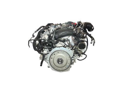 Photoroom 20251007 100731