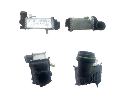 Photoroom 20251103 110041