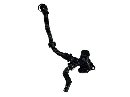 Photoroom 20260112 112900