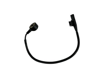 Photoroom 20260113 144637