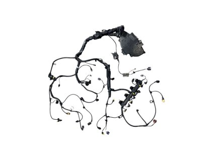 Photoroom 20260119 085212