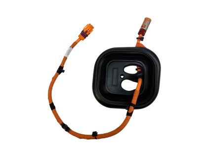 Photoroom 20260130 082608