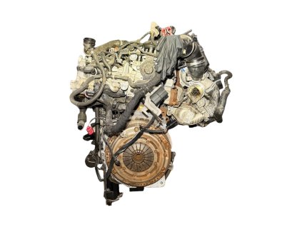 Photoroom 20260309 110134