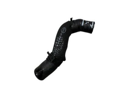 Photoroom 20260325 122605