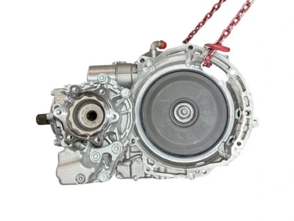 Photoroom 20260326 160008 (1)