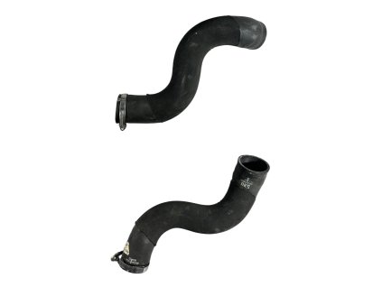 Photoroom 20260216 094141