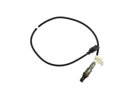 Photoroom 20241211 144020