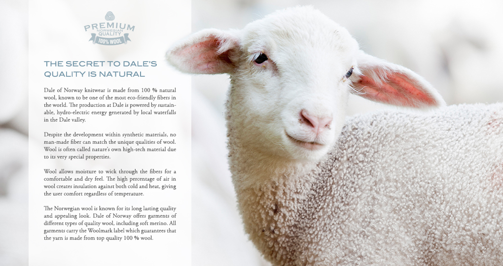 Tradičný nórsky vzor