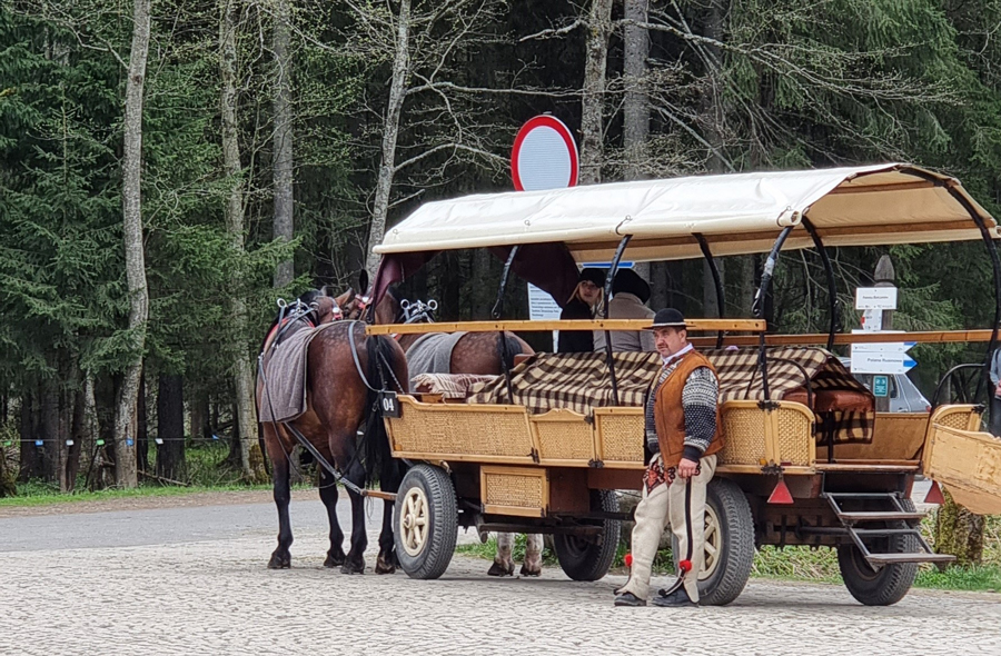 Konské záprahy čakajúce na turistov na začiatku trasy k Morskému oku.