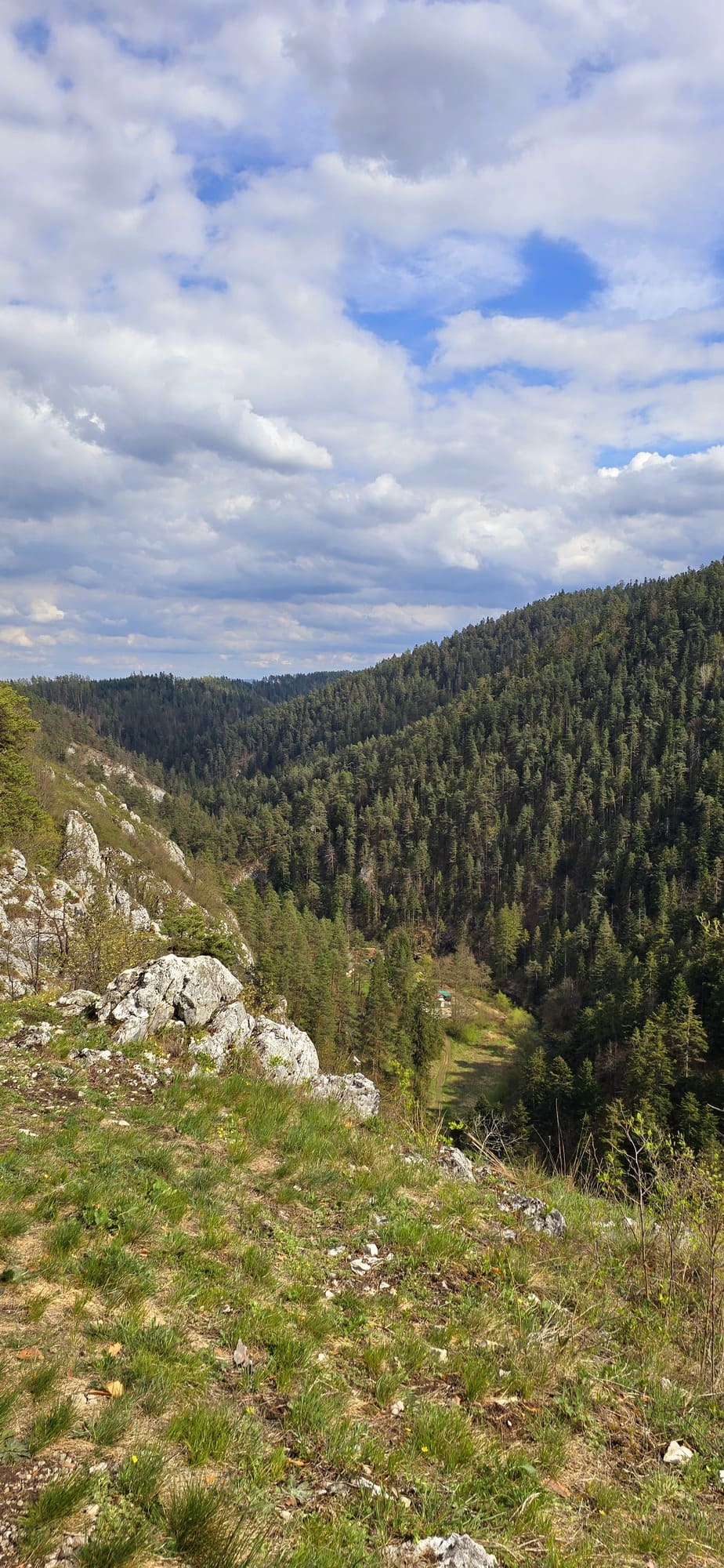 Výhľad z hrebeňa Ihrík na okolitú krajinu Slovenského raja