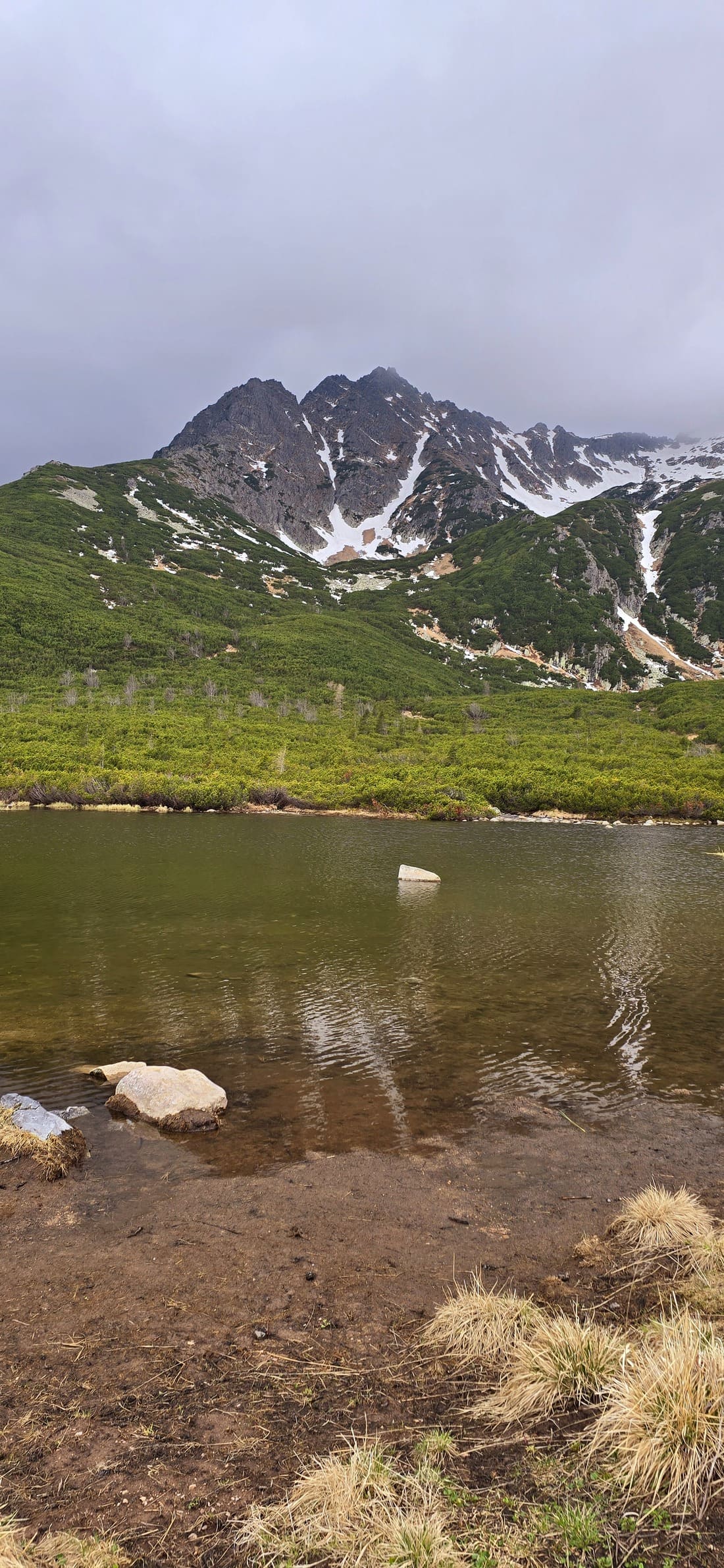 Pohľad na Trojrohé pleso a okolitú kosodrevinu.