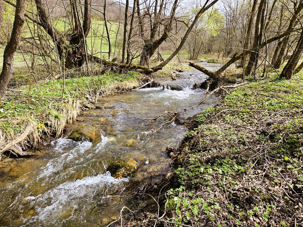 Kojšovský potok tečúci popri ceste.