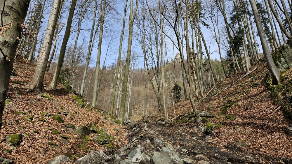 Rozbahnený a strmý úsek chodníka pred vrcholom Turniská.