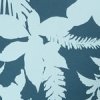 Everblue, Botanical