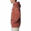 CSC Basic Logo™ II Hoodie 168166 Pánska Mikina