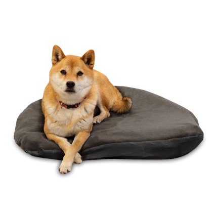 vyr 248 moondogbed medium 4