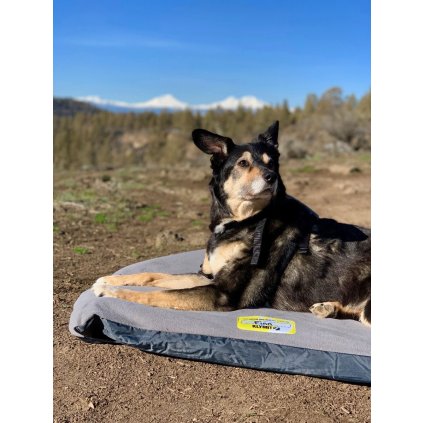 vyr 249 moondogbedlarge 4