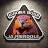 Vinylová samolepka na auto „BÓBR KURWA JA PIERDOLĘ“ 15×15 cm