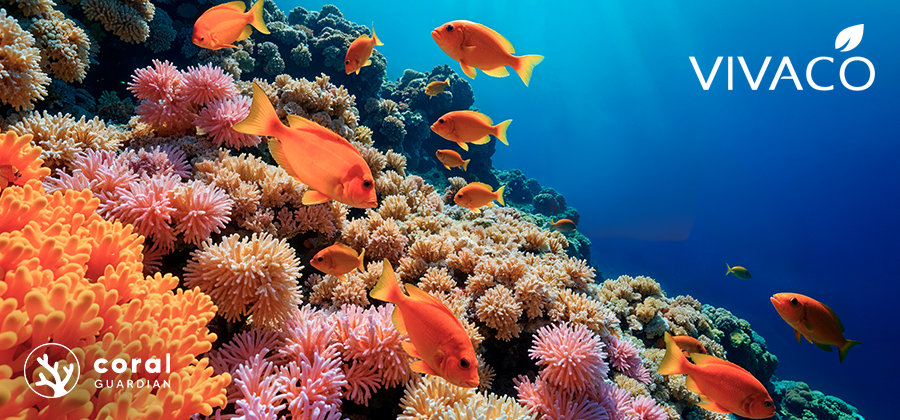 SUN BRONZ Coral Friendly: Maximální ochrana pro tebe, nový život pro korály.