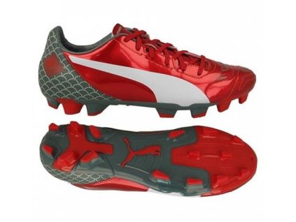 puma evopower 4 2 dragon 103431 01