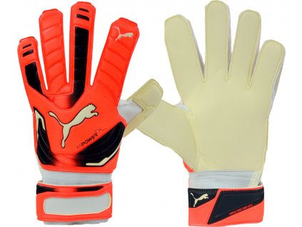 Brankárske rukavice Puma Evo Power Grip 2 RC 040998 30