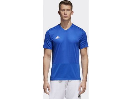 Futbalový dres adidas Condivo 18 TR M CG0352