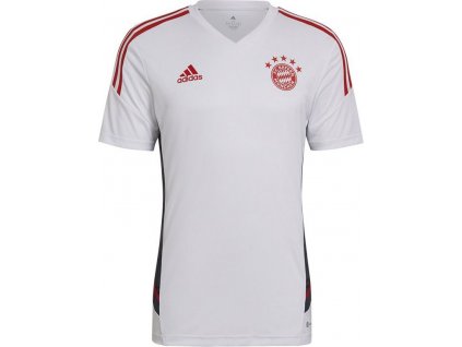 Dres adidas FC Bayern Training M HB0621