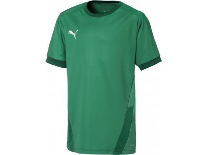 Detský futbalový dres Puma teamGOAL 23 Jersey Zelený 704160 05