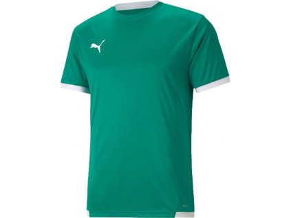 Futbalový Dres Puma teamLiga Jersey M 704917 05