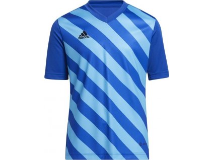 Detský futbalový dres adidas Entrada 22 Graphic Jersey modrý HF0130