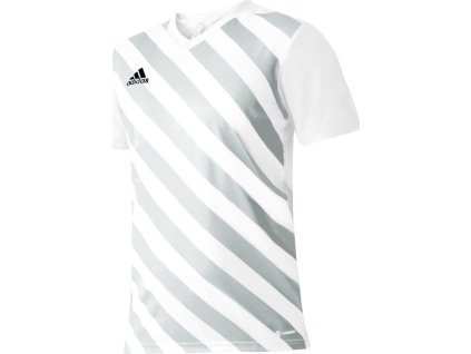 Pánsky futbalový dres adidas Entrada 22 Graphic Jersey M HF0129