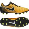 Detské kopačky NIKE MAGISTA OLA II FG JR 844204 801