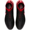Kopačky NIKE MAGISTA ORDEN II FG 843812 061
