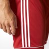 Detské šortky adidas SQUADRA 17 JR červené BJ9226