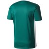 Dres adidas Entrada 18 zelený CD8358