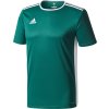 Dres adidas Entrada 18 zelený CD8358