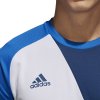 Detská brankárska mikina adidas Assita 17 GK JR modrá AZ5399