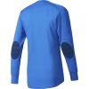 Detská brankárska mikina adidas Assita 17 GK JR modrá AZ5399