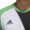 Detská brankárska mikina adidas Assita 17 GK JR zelená AZ5400